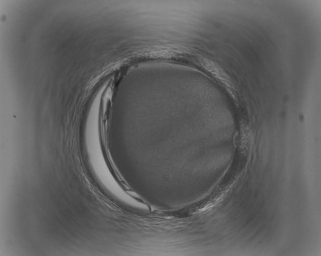 X0000080750681200701021031