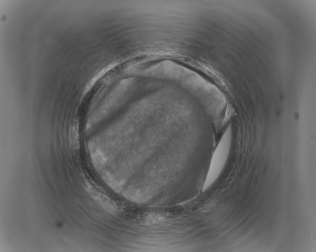 X0000080750684200701021031