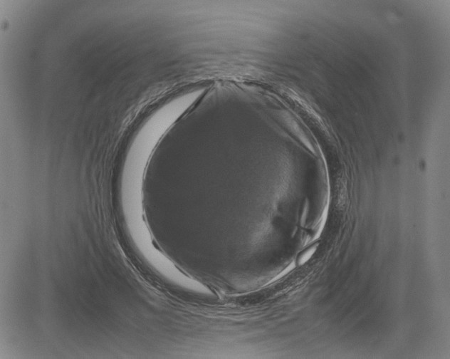 X0000080750685200701021031