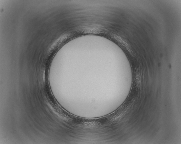 X0000080750686200701021031