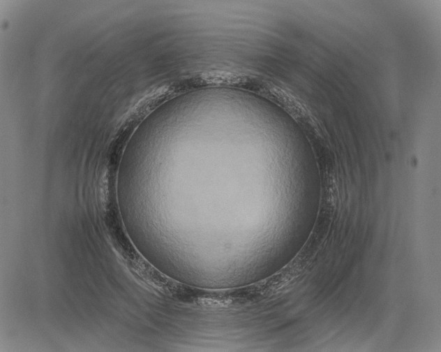 X0000080750690200701021031