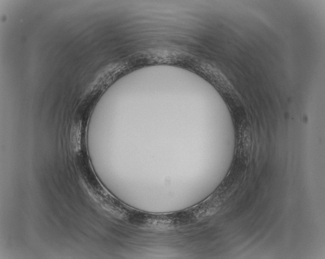 X0000080750694200701021031