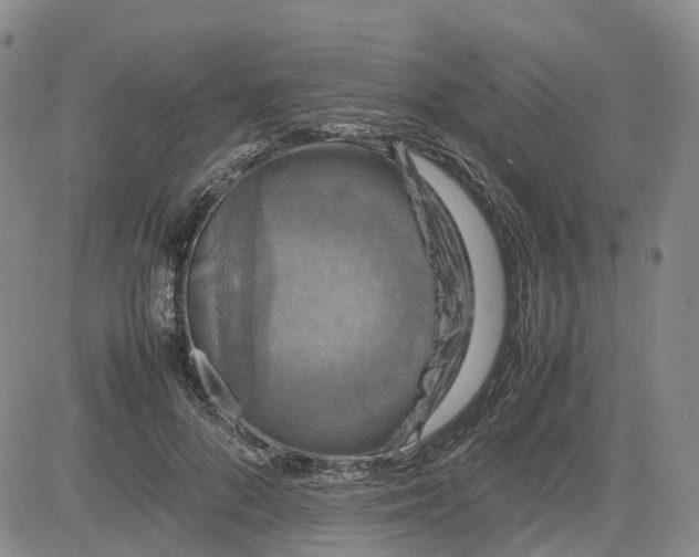 X0000080750696200701021031