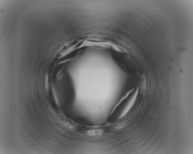 X0000080750700200701021031