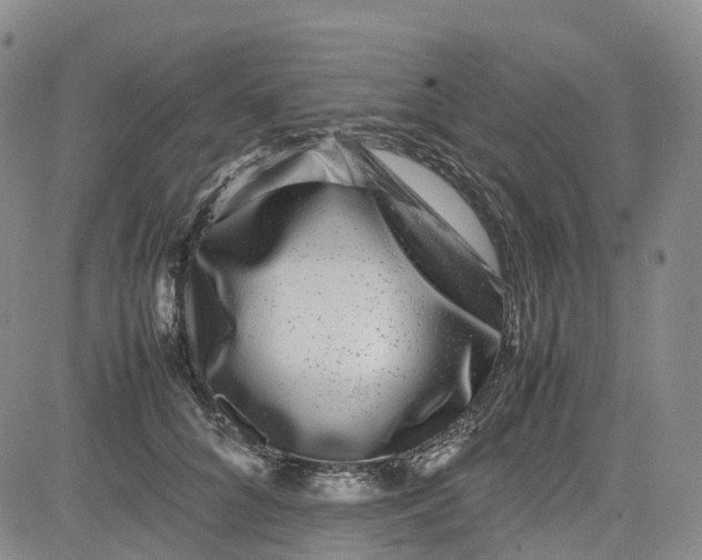 X0000080750704200701021031