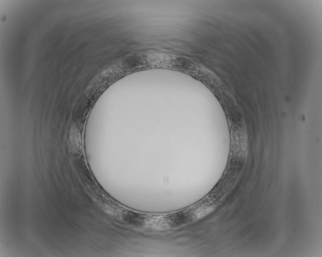 X0000080750705200701021031
