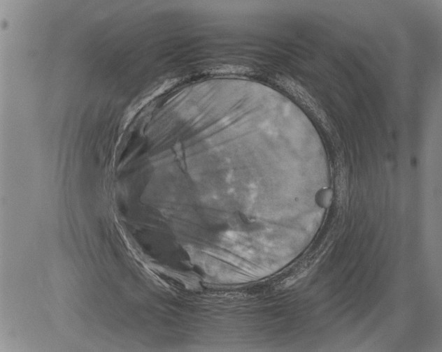 X0000080750721200701021030