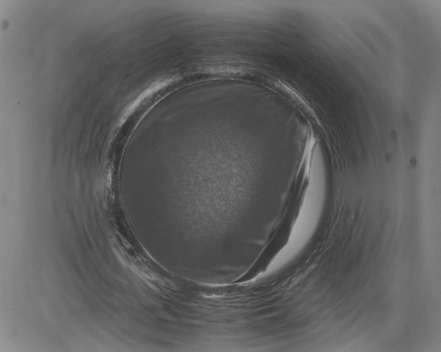 X0000080750723200701021030