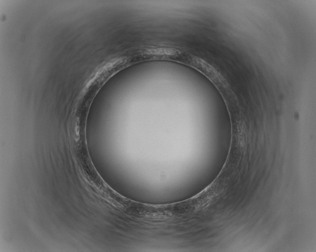 X0000080750731200701021030