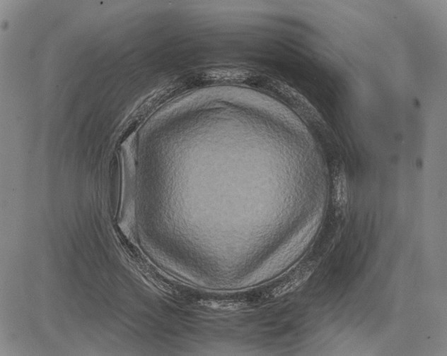 X0000080750733200701021030