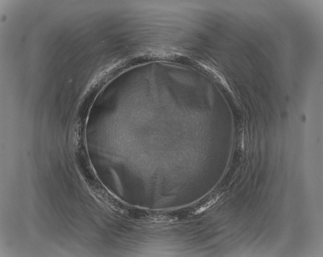 X0000080750736200701021030