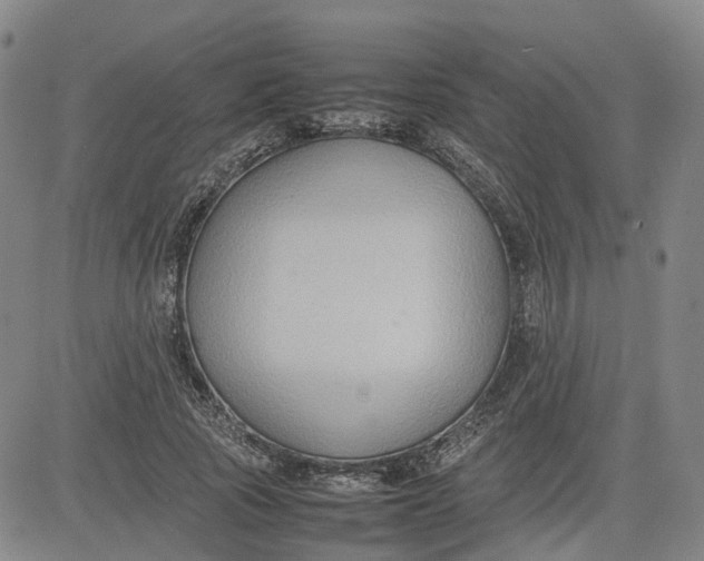 X0000080750737200701021030