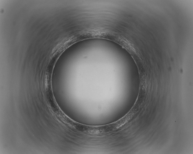 X0000080750740200701021030