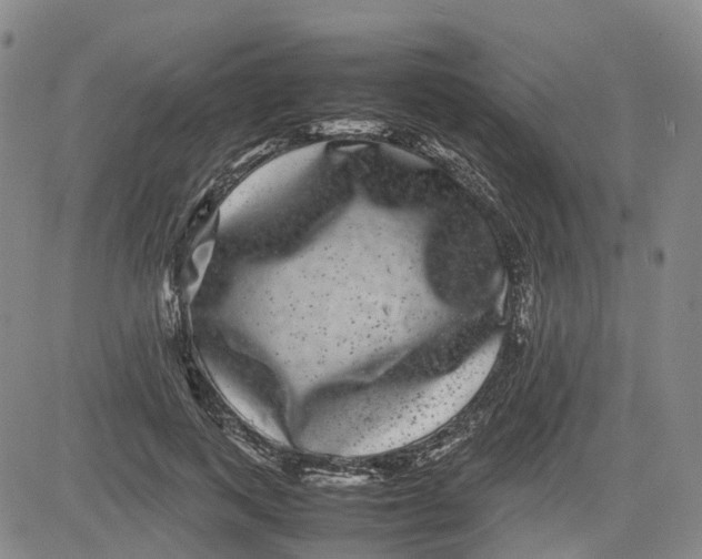 X0000080750743200701021030