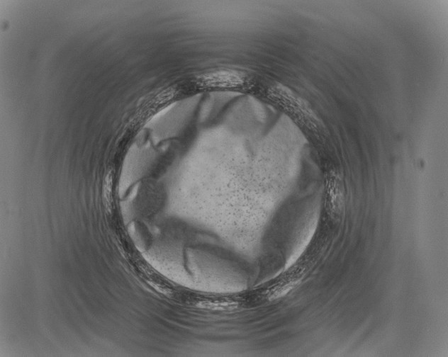 X0000080750745200701021030