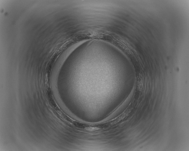 X0000080750748200701021030