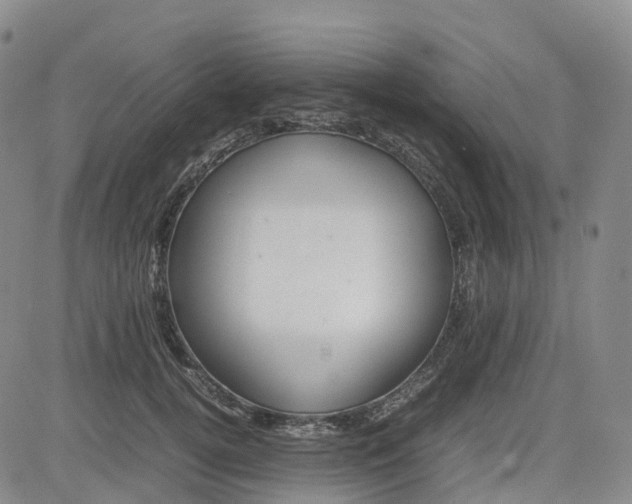 X0000080750752200701021031