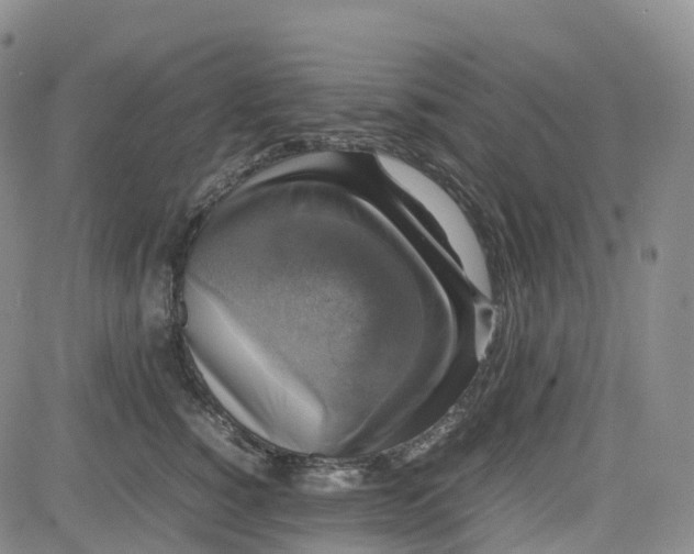 X0000080750760200701021031