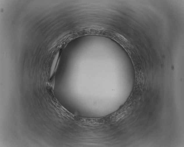 X0000080750774200701021030