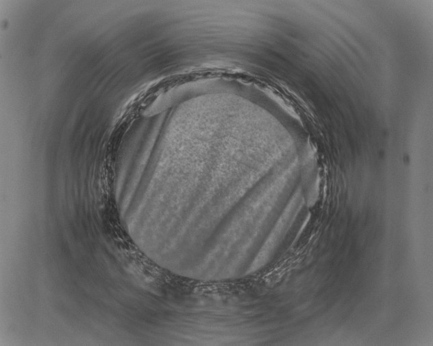 X0000080750776200701021030