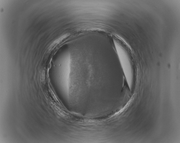 X0000080750777200701021030