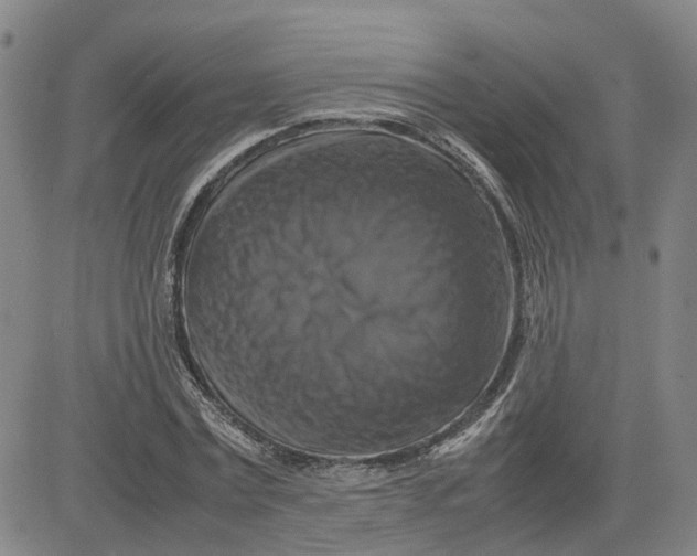 X0000080750779200701021030