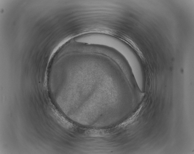 X0000080750780200701021030