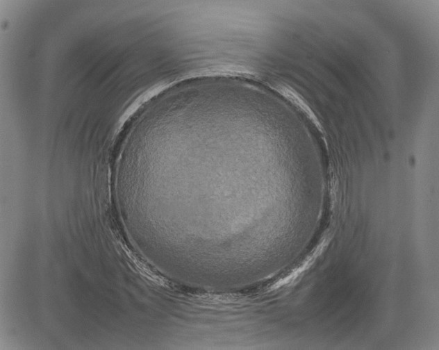 X0000080750781200701021030