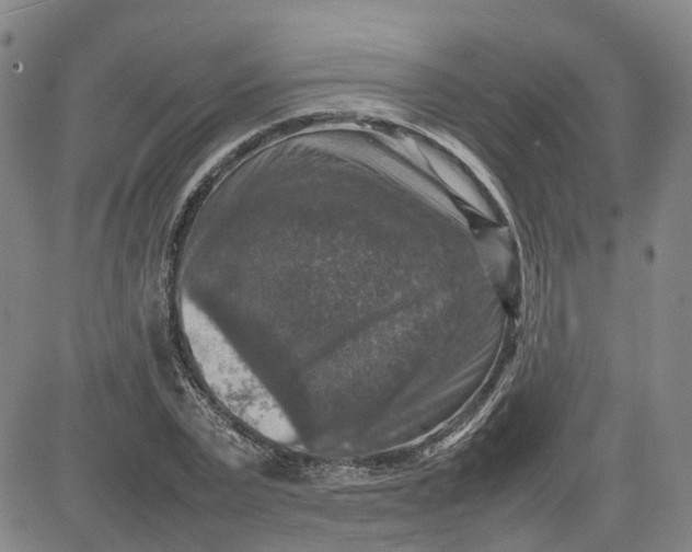 X0000080750783200701021030