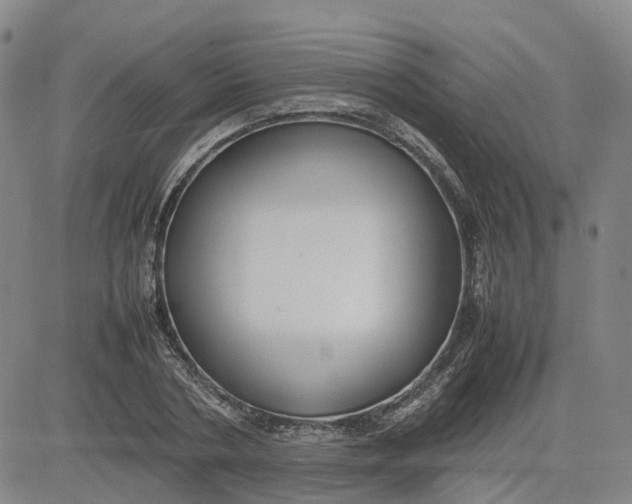 X0000080750786200701021030