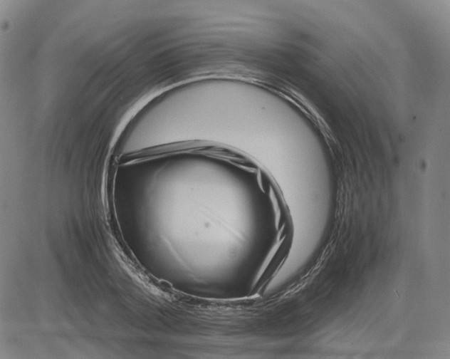 X0000080750788200701021030