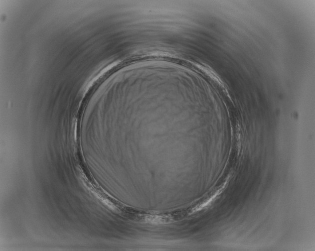 X0000080750790200701021030