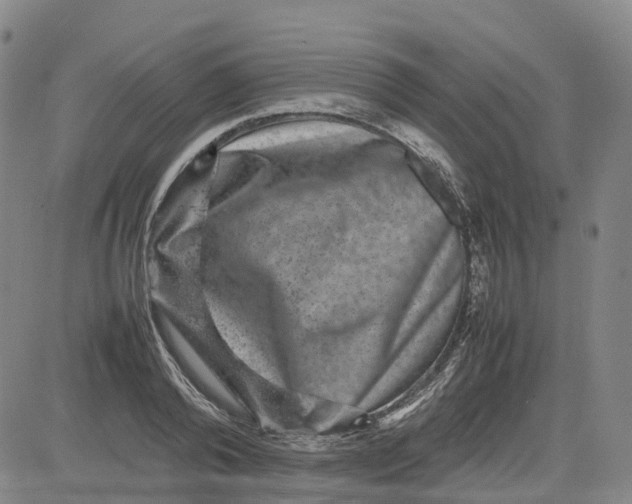 X0000080750792200701021030