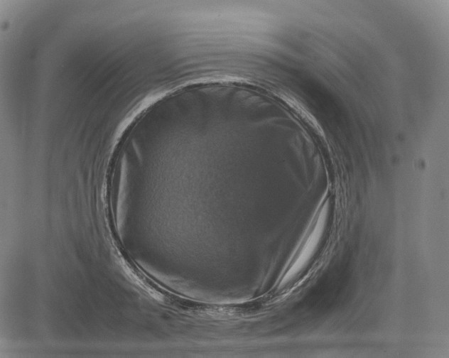 X0000080750797200701021030