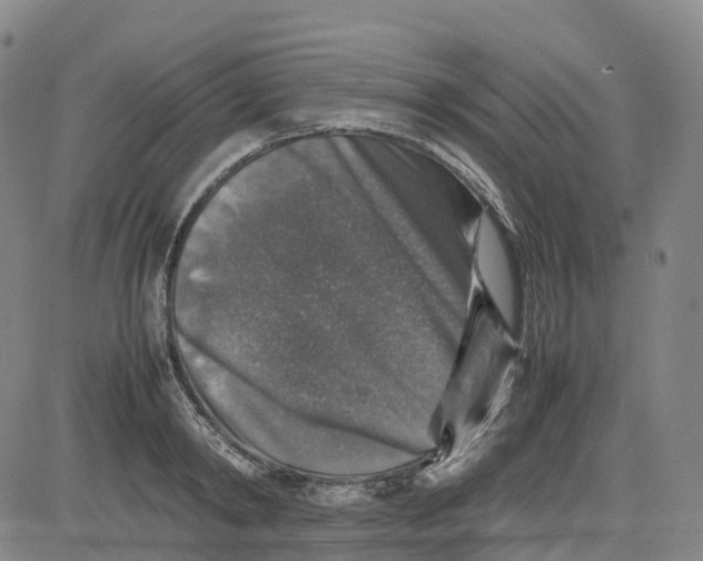 X0000080750798200701021030