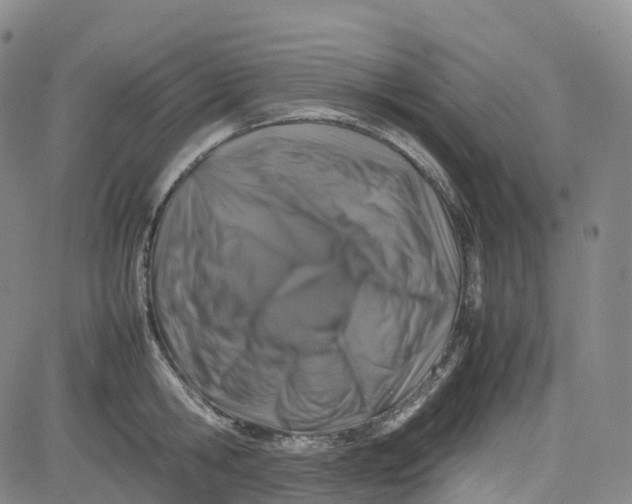 X0000080750806200701021029