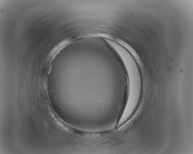 X0000080750809200701021029