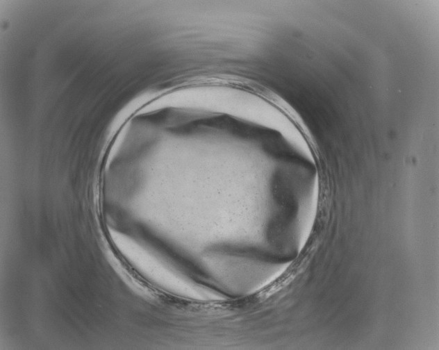 X0000080750811200701021029