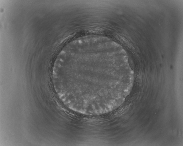 X0000080750817200701021028