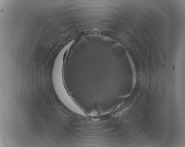 X0000080750818200701021028