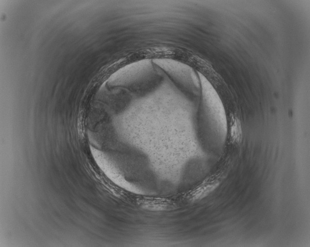 X0000080750819200701021028
