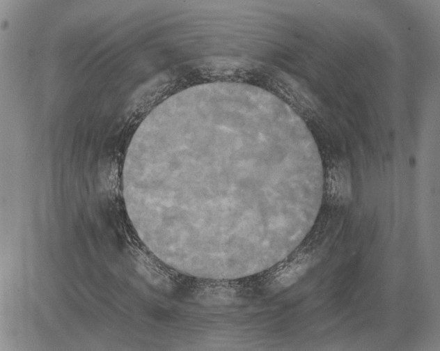 X0000080750820200701021029