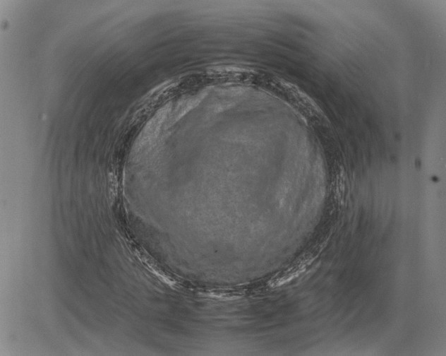 X0000080750821200701021029