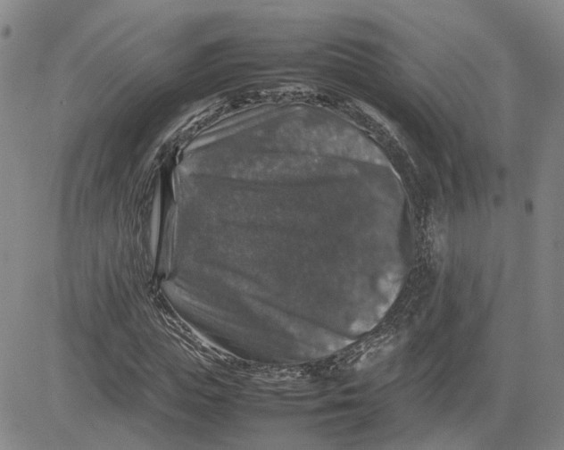 X0000080750823200701021029