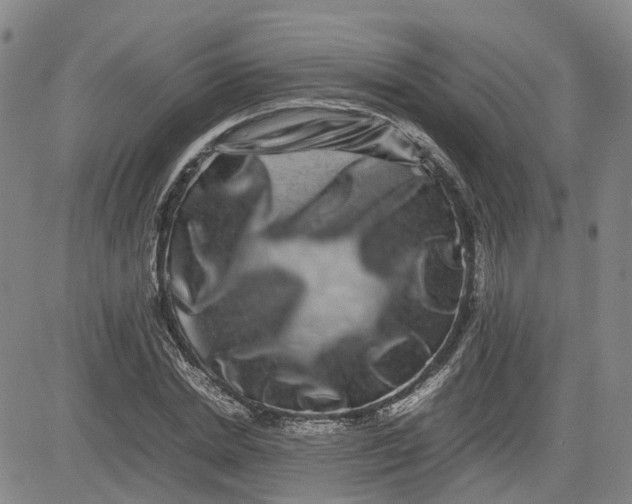 X0000080750830200701021029