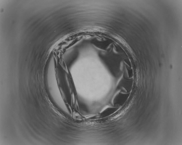 X0000080750834200701021029