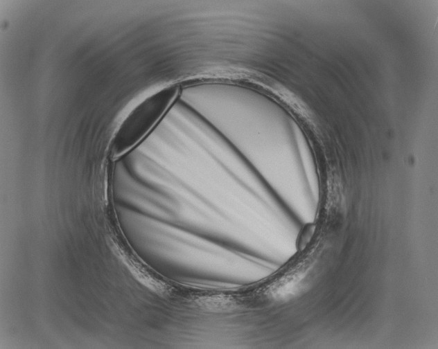 X0000080750838200701021029