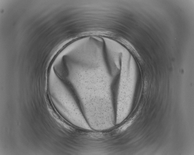 X0000080750844200701021029
