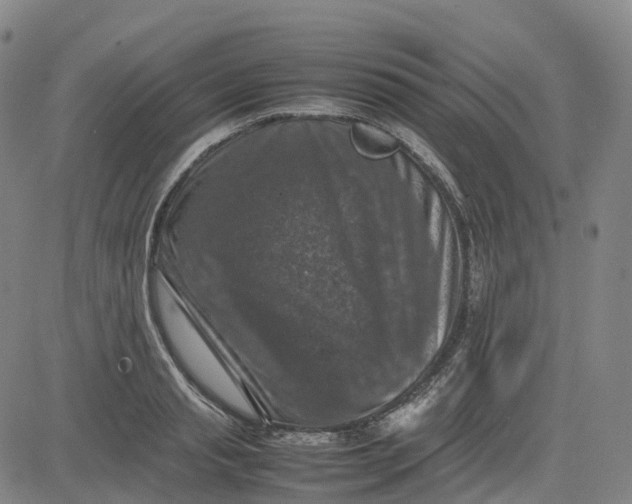 X0000080750845200701021029