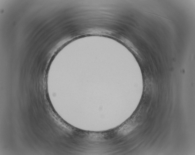 X0000080750848200701021029